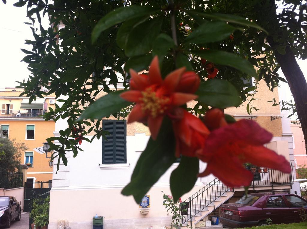 Aristocarli Bed & Breakfast Rome Bagian luar foto